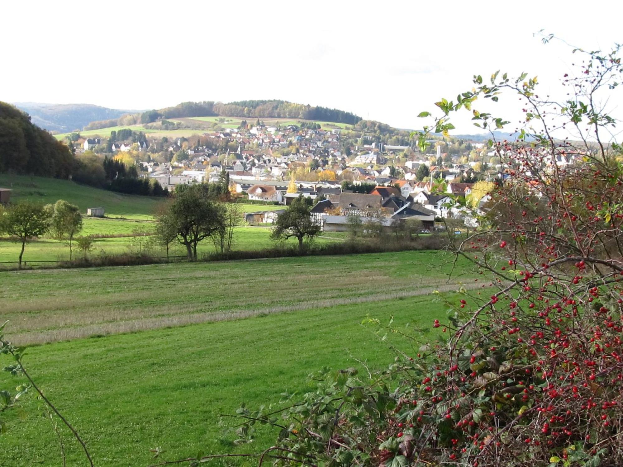 Gladenbach Zum Treppche Hotel Garni מראה חיצוני תמונה